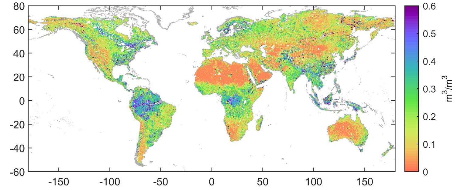 Global soil moisture
